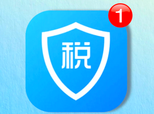 个人所得税登录入口及操作指南