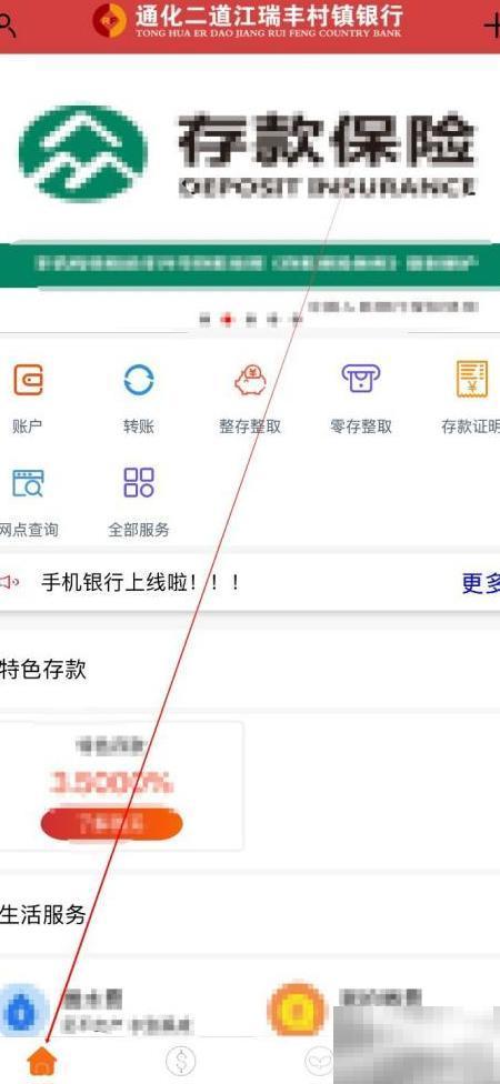 通化二道江瑞丰银行查账方法