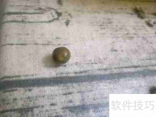 健脾豪华版奶茶：温暖脾胃的秋冬饮品选择