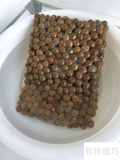 健脾奶茶推荐：秋冬温暖脾胃饮品