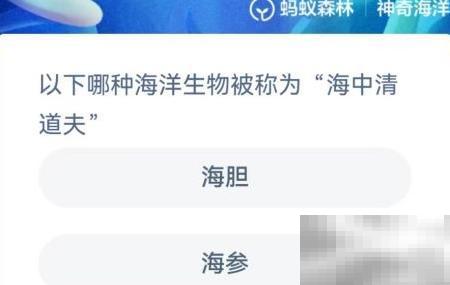 海中清道夫是什么生物？