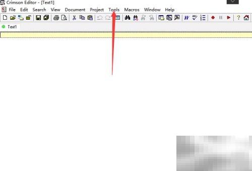 Crimson Editor 关闭制表符显示方法
