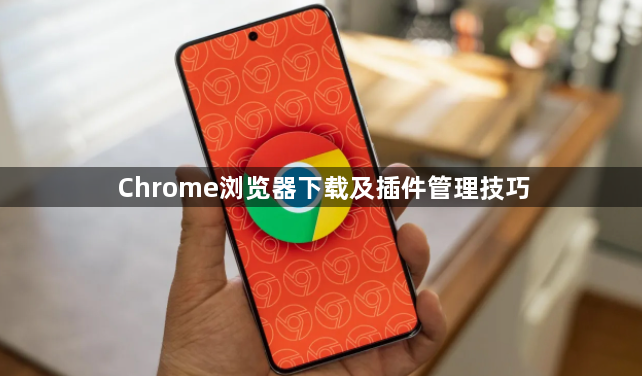 Chrome浏览器下载及插件管理技巧