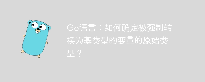 Go语言：如何确定被强制转换为基类型的变量的原始类型？