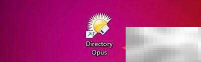 Directory Opus同步配置设置教程