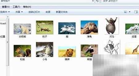 Excel批量导入图片工具推荐