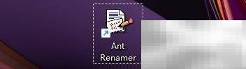 Ant Renamer插入字符串方法详解