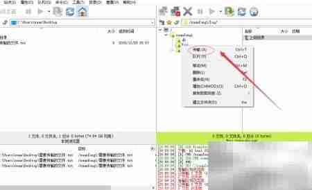 FTP文件管理：轻松传输与操控