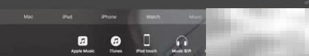 iPod nano/shuffle正式下架消息
