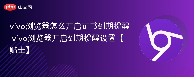 vivo浏览器开启证书提醒方法【贴士】