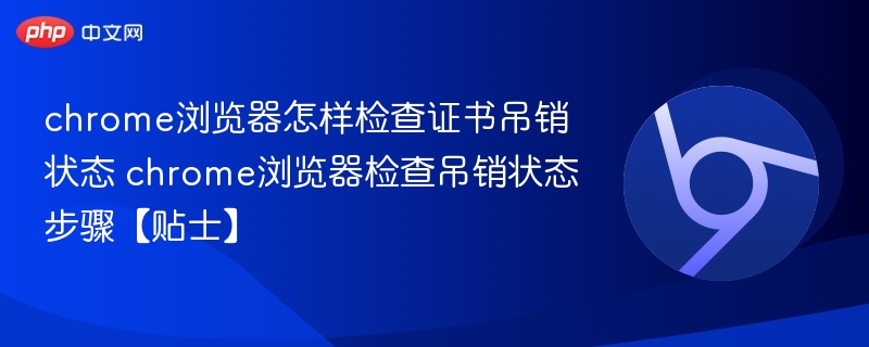 Chrome检查证书吊销状态方法【贴士】