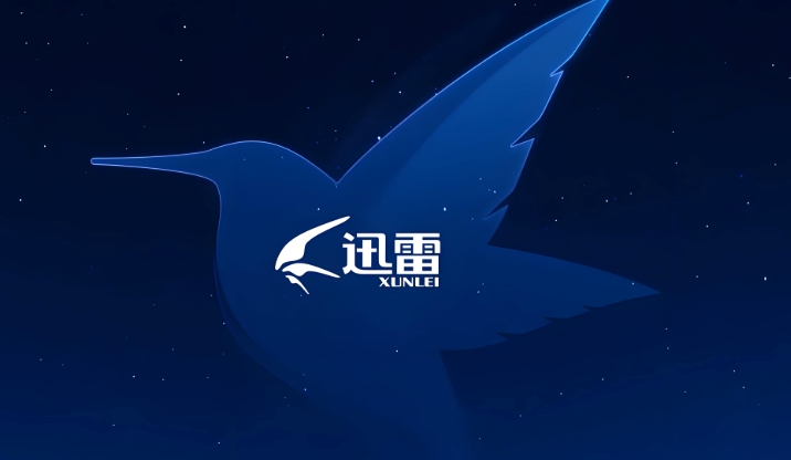 迅雷浏览器官网入口及使用指南