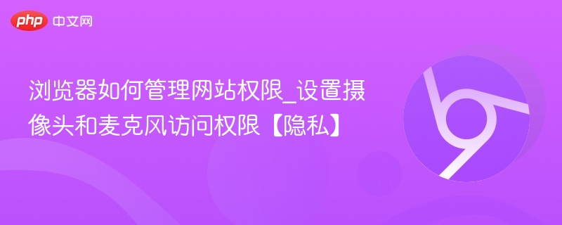 浏览器如何管理网站权限？设置摄像头和麦克风访问方法