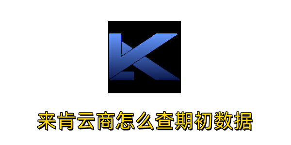 来肯云商如何查期初数据？