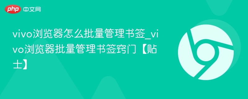 vivo浏览器如何批量管理书签？