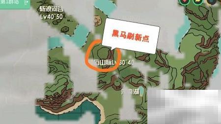 黑马捕捉技巧与实战攻略