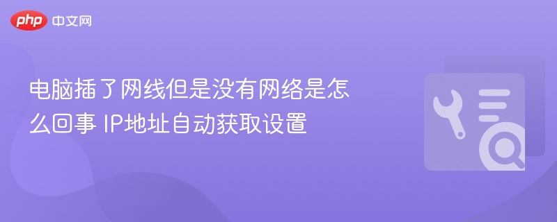 电脑插网线无网络？IP地址设置全攻略