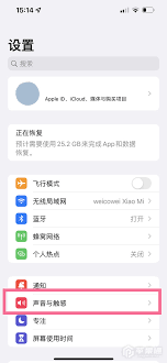 如何关闭iphone14pro静音模式震动