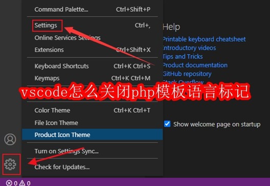 VSCode关闭PHP模板语言标记方法