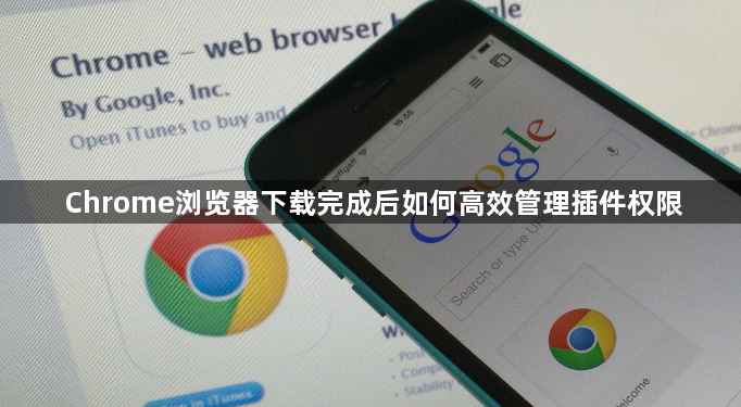 Chrome浏览器下载完成后如何高效管理插件权限
