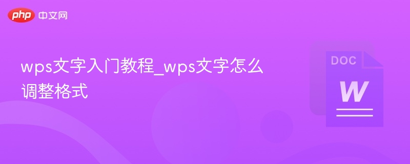 WPS文字基础教程：格式调整方法详解