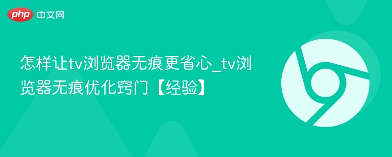 TV浏览器无痕技巧与优化方法