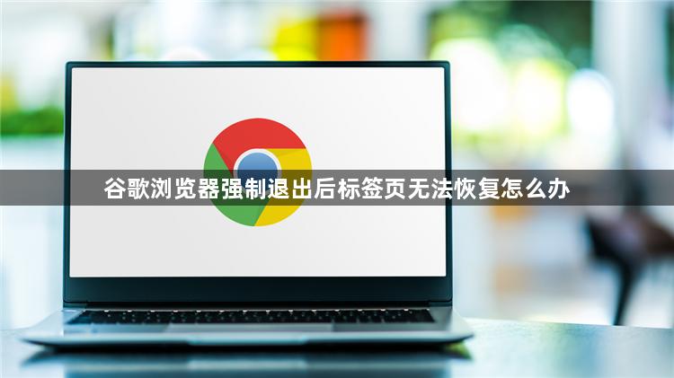 谷歌浏览器强制退出后标签页无法恢复怎么办