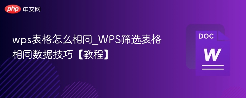 WPS表格筛选相同数据技巧