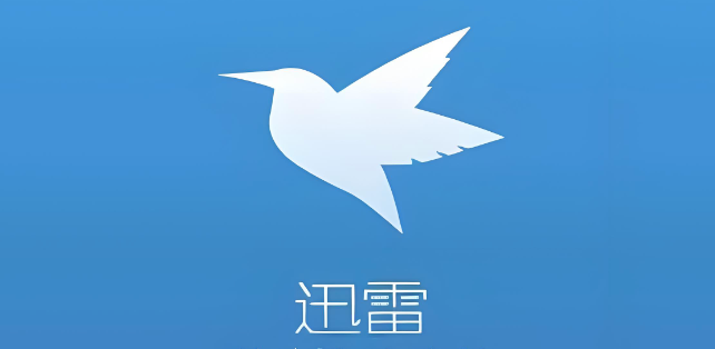 迅雷浏览器网页版在线使用指南