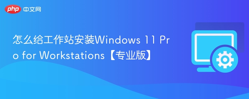 Windows 11 Pro for Workstations安装教程