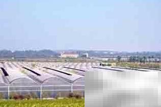 农业高新区建设策略解析