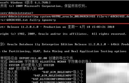 Oracle数据库导入方法与技巧