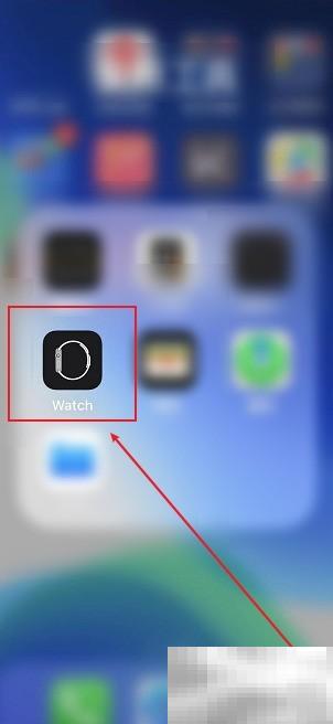 Apple Watch报时设置教程
