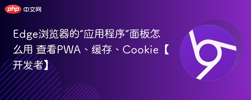 Edge浏览器应用面板怎么用？查看PWA、缓存、Cookie