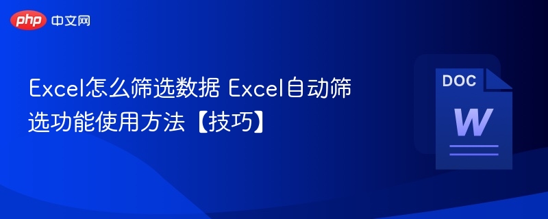 Excel自动筛选怎么用 数据筛选技巧分享