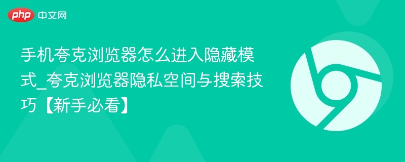 手机夸克浏览器隐藏模式怎么进