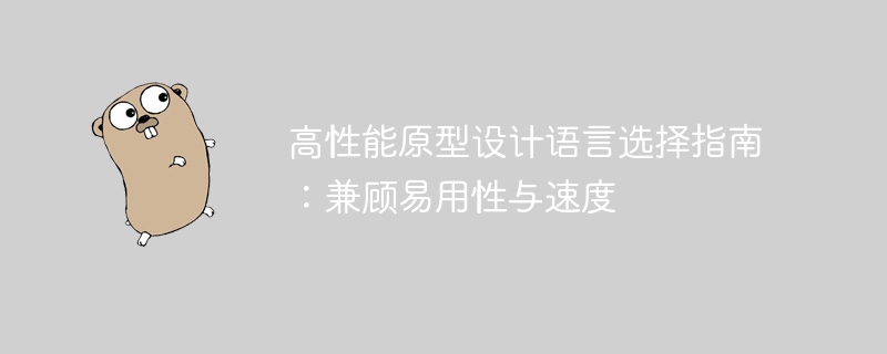 高性能原型设计语言选择指南:兼顾易用性与速度