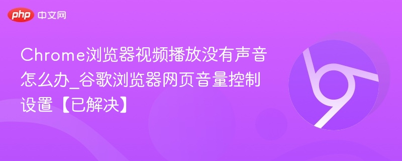 Chrome视频无声音怎么解决？网页音量设置方法