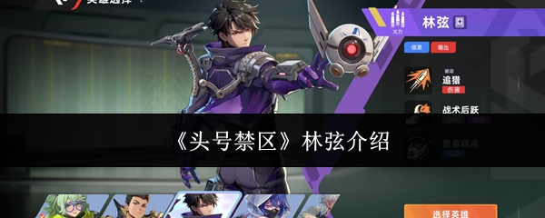 《头号禁区》林弦介绍