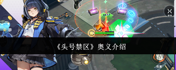 《头号禁区》奥义介绍