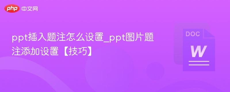 PPT图片题注添加方法及设置技巧