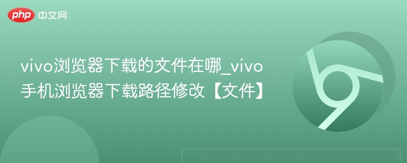 vivo浏览器下载文件位置及路径修改方法