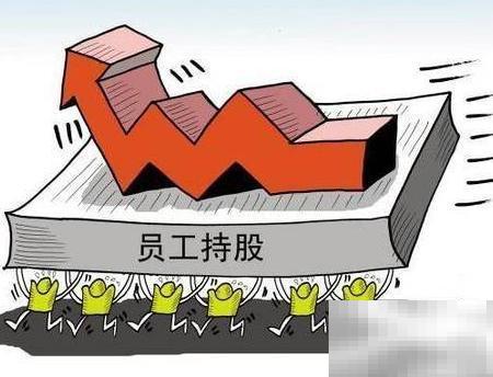 HR巧妙设计员工持股方案