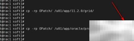 Oracle集群补丁操作指南
