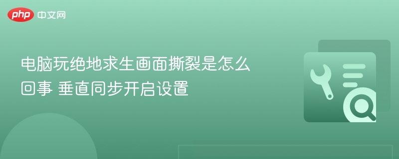 绝地求生画面撕裂原因及垂直同步设置详解