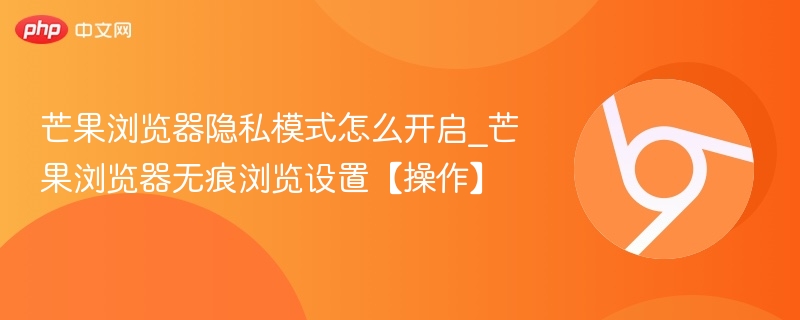 芒果浏览器隐私模式开启方法