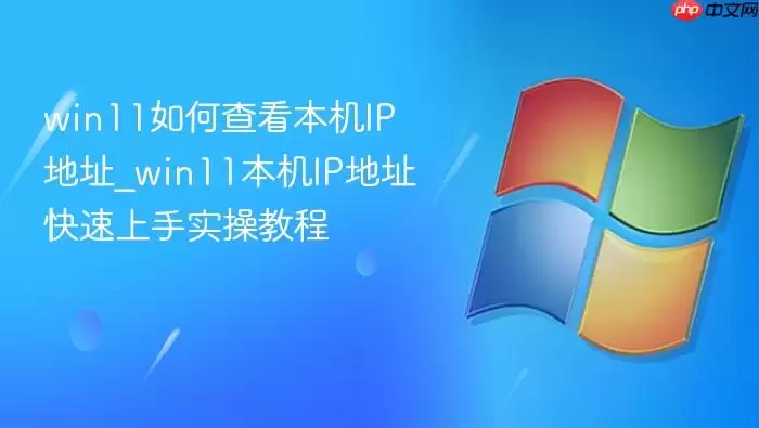win11如何查看本机IP地址_win11本机IP地址快速上手实操教程