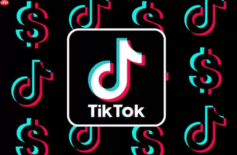 TikTok在线刷视频入口 免费播放入口