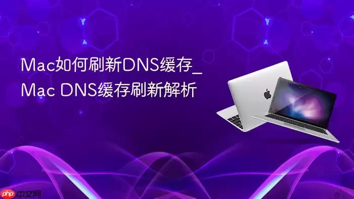 Mac如何刷新DNS缓存_Mac DNS缓存刷新解析