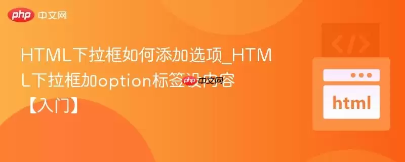 html下拉框如何添加选项_html下拉框加option标签设内容【入门】